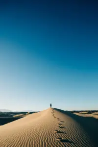 neom-gVDUuJaG_wM-unsplash